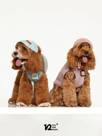 Two poodles wearing knit newsboy caps