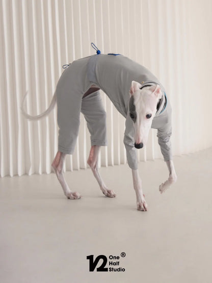 Grey four-leg sun suit seen from behind on a whippet