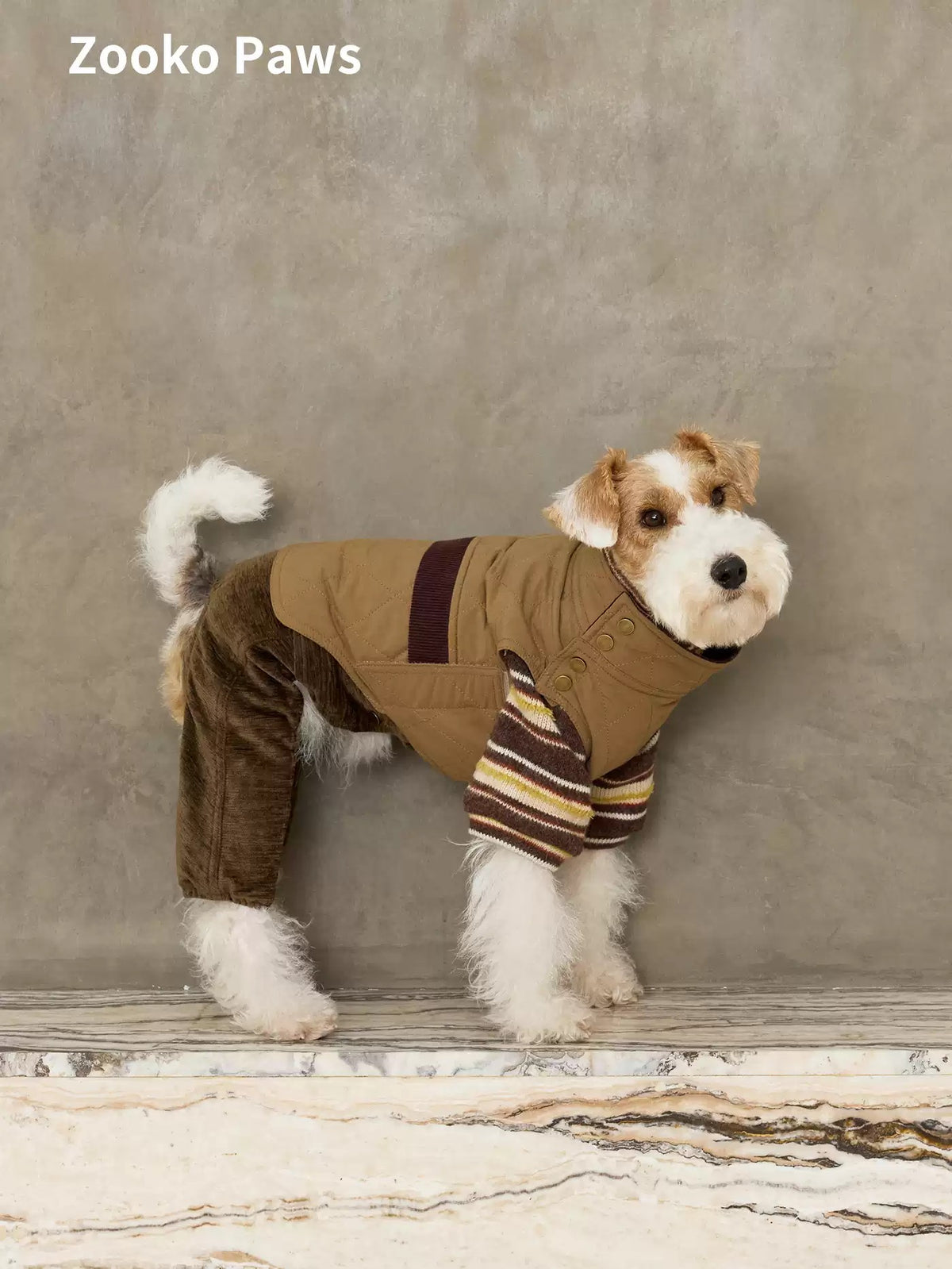 Padded Dog Vest photo 4