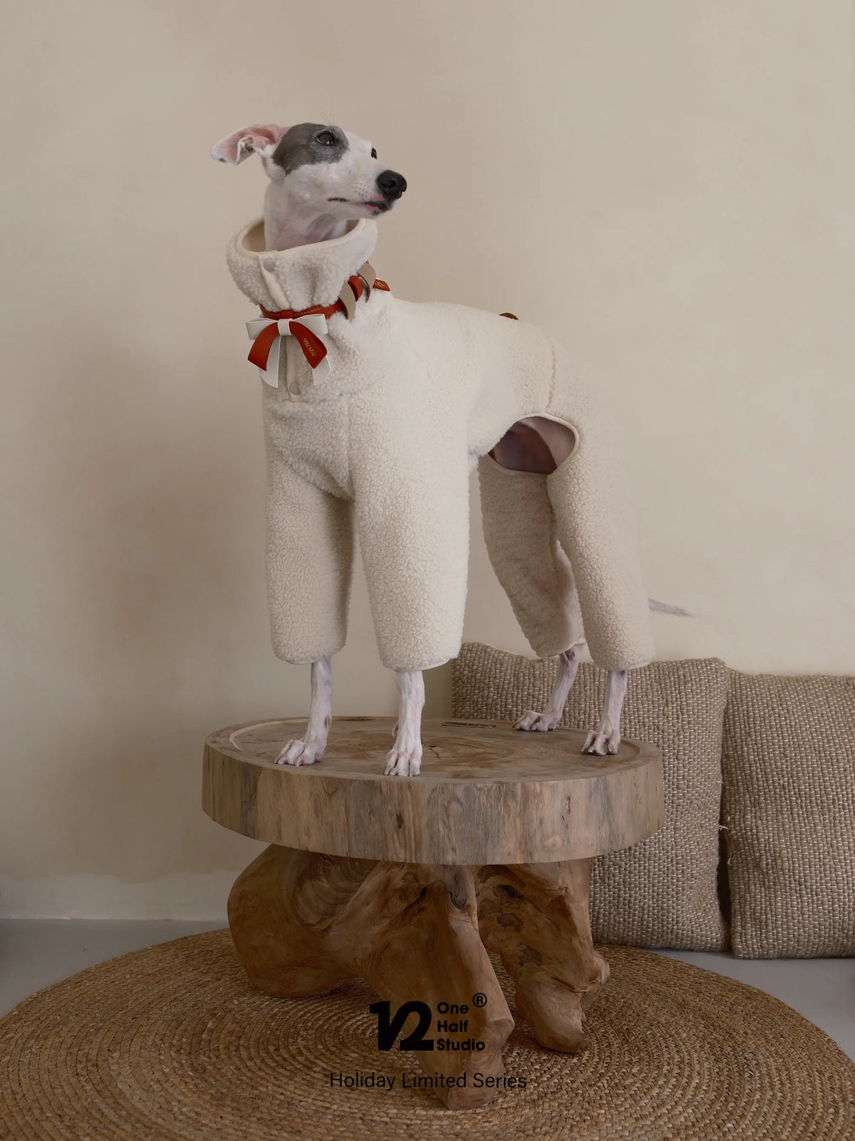 Whippet in a red bow collar standing on a stool