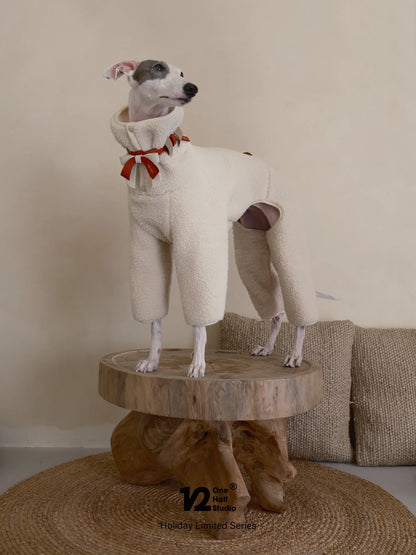 Whippet in a red bow collar standing on a stool