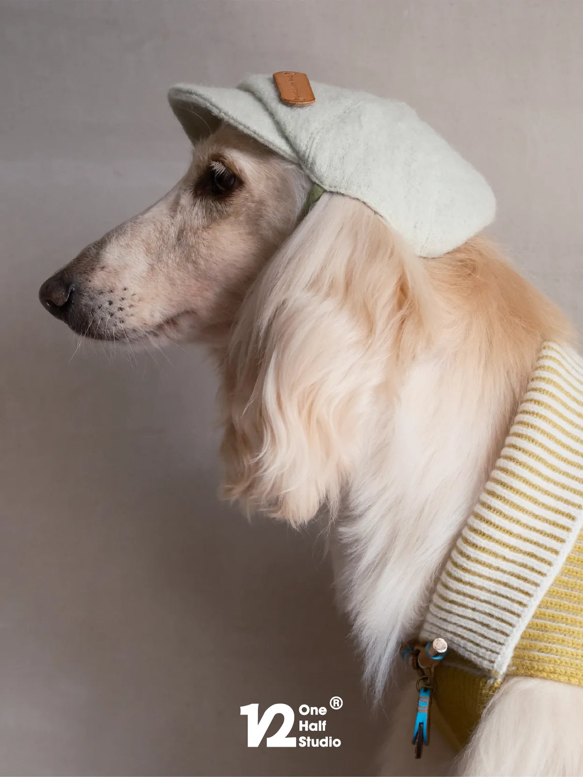 Whippet in a pale green newsboy cap