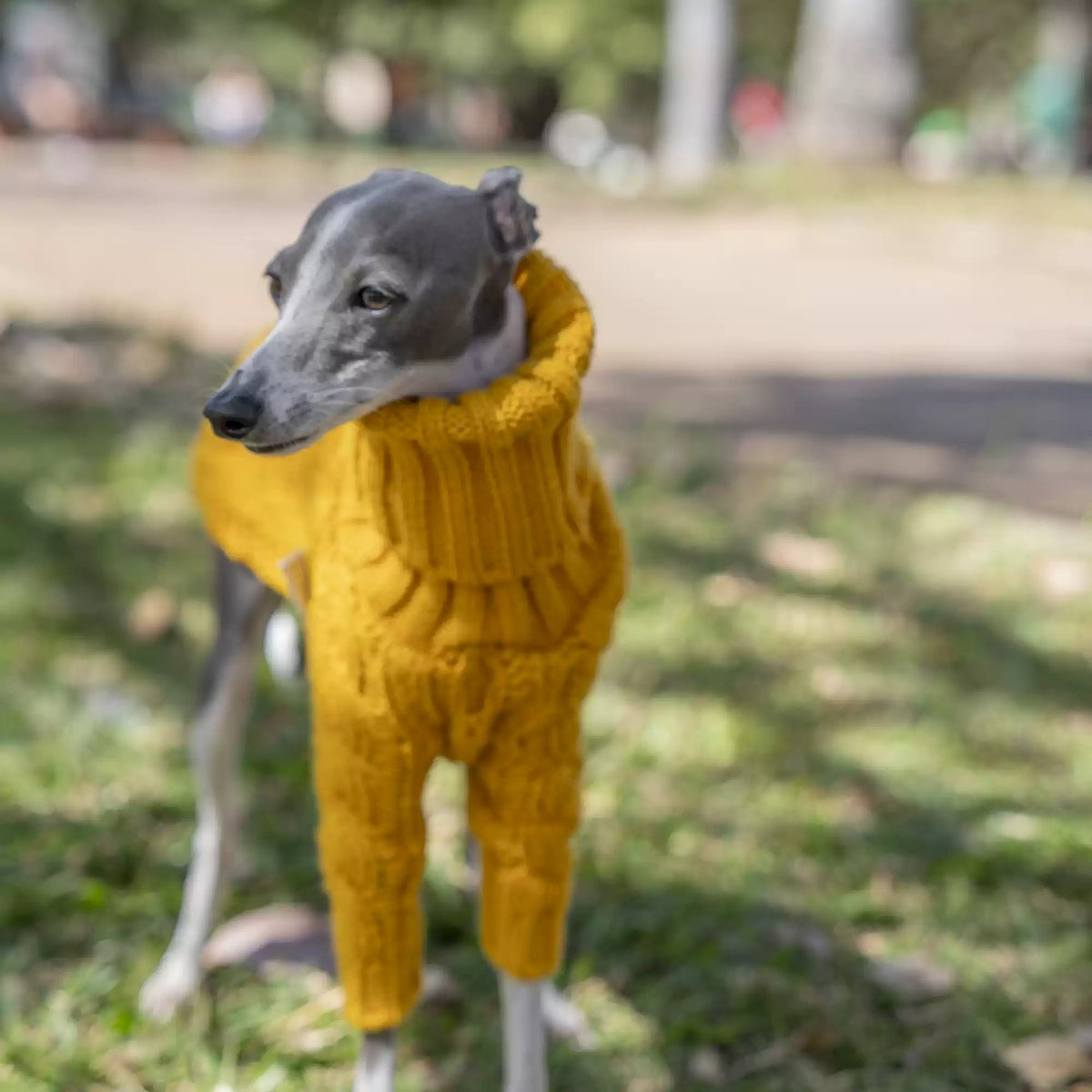 Yellow Hooded Knit Dog Sweater photo 4