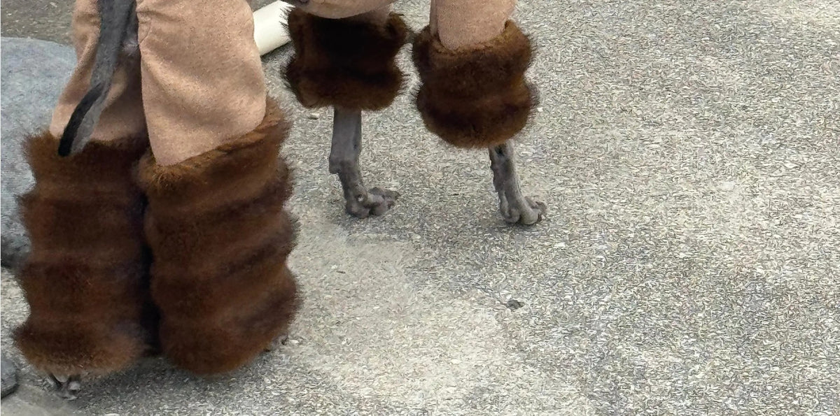 Chestnut Fleece Knit Dog Onesie view 4