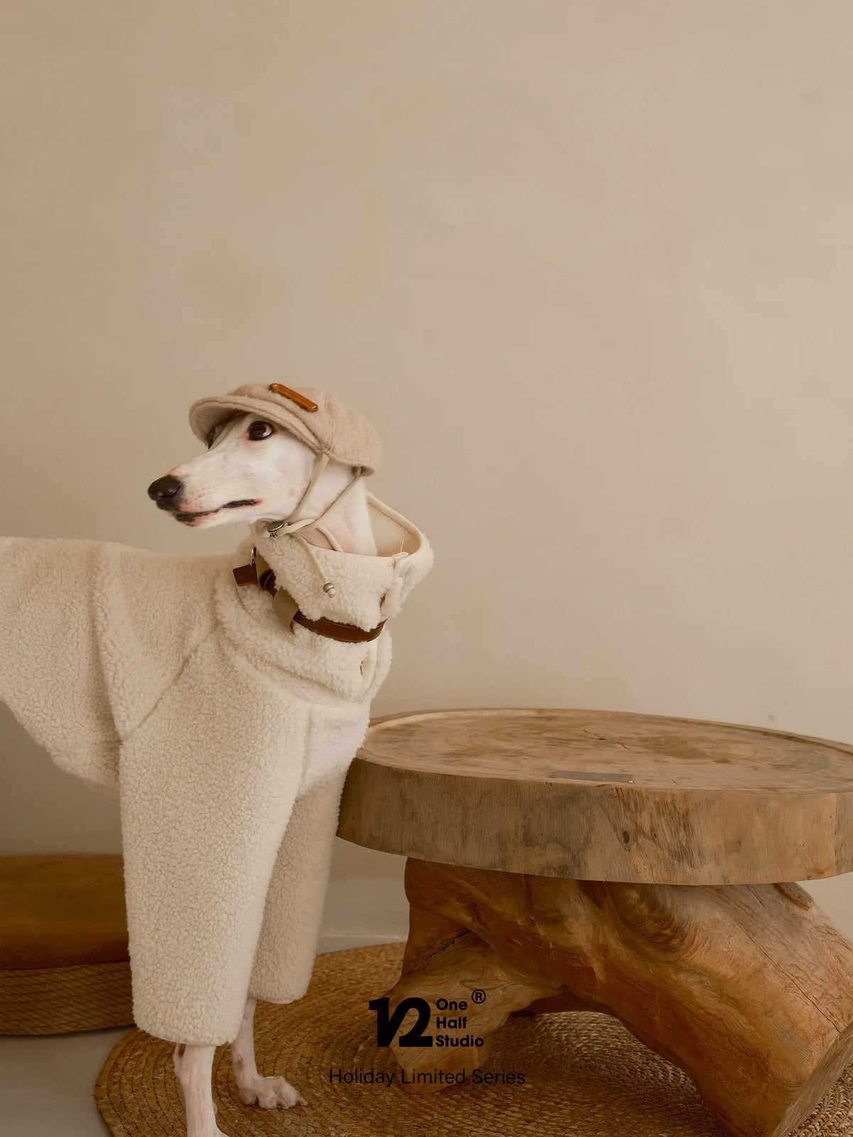 Dog in a sherpa coat with a matching collar and leash