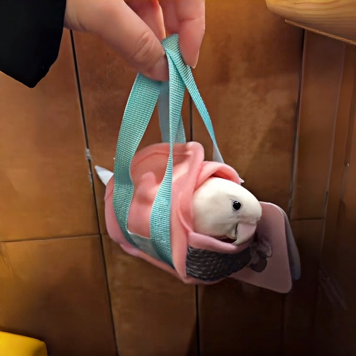 Ergonomic Parrot Travel Carrier