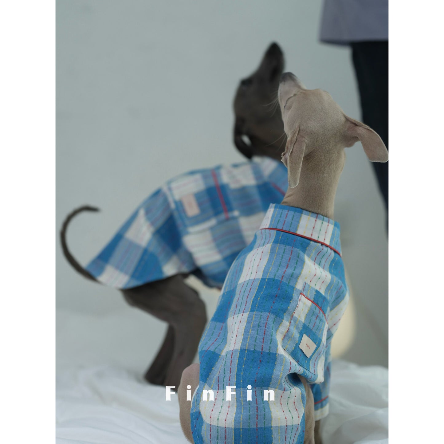Plaid Cotton Dog Pajamas for Italian Greyhounds
