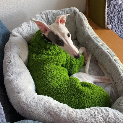 Custom Dog Sweaters Jumpsuit for Whippet Greyhound