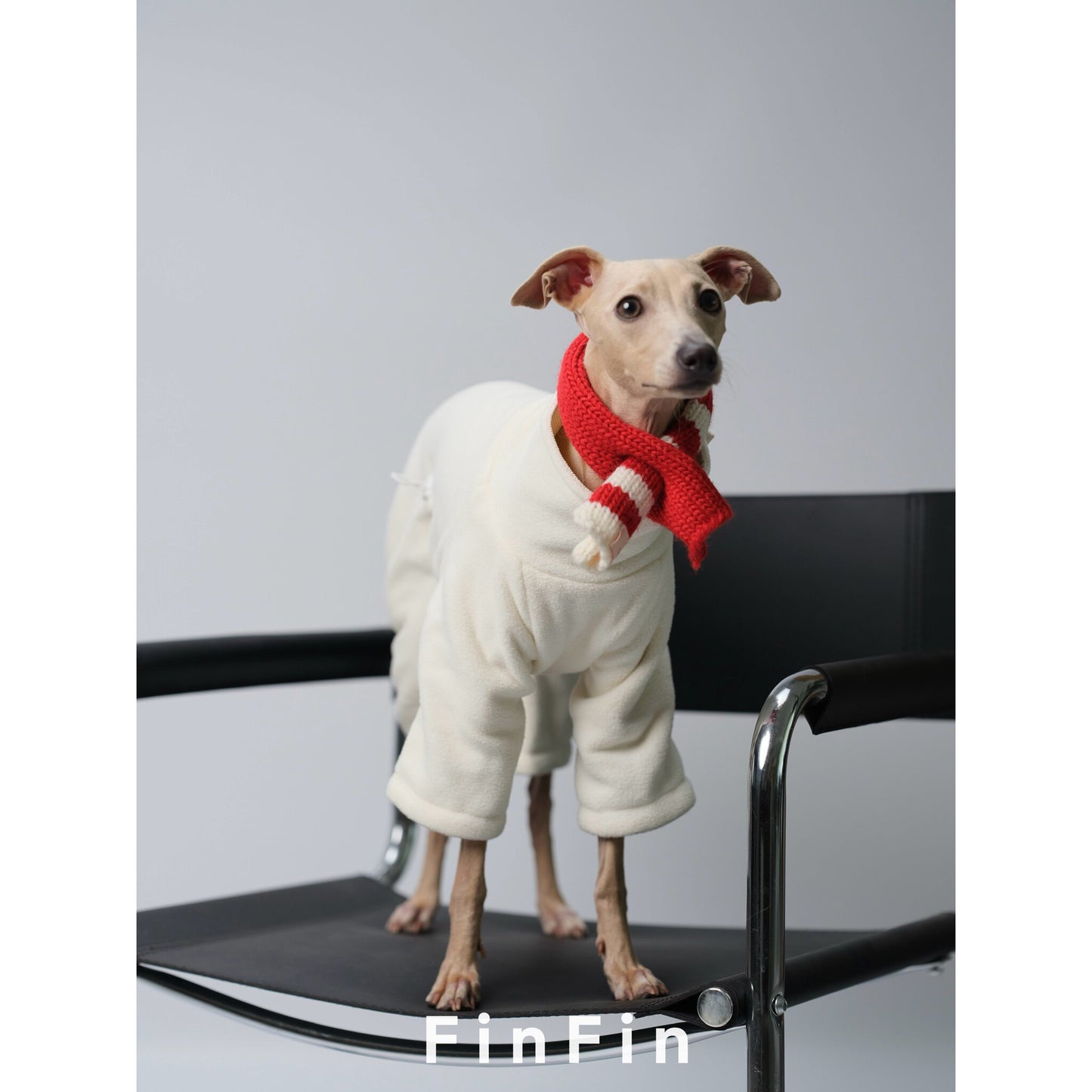 Reversible Fleece and Corduroy Dog Onesie