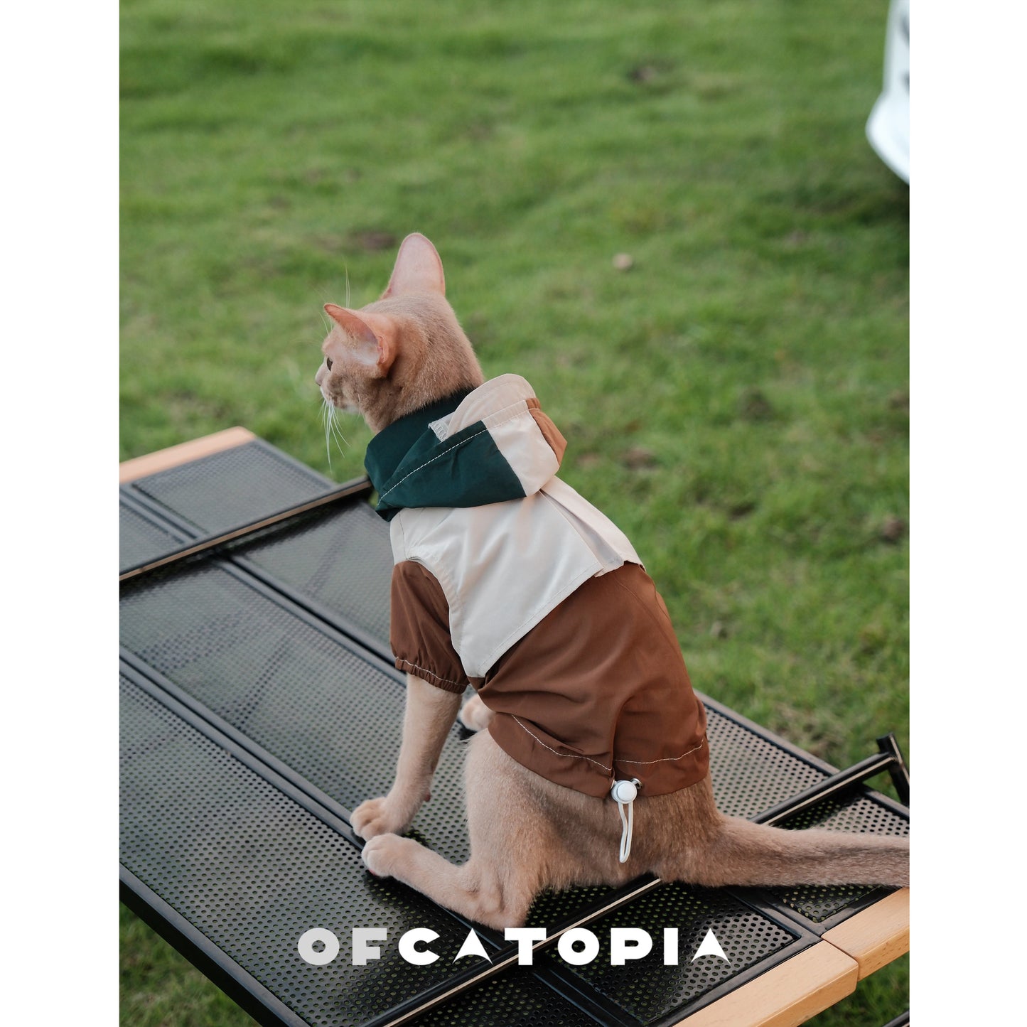 OfCatopia Y2K Colorblock Hooded Raincoat for Cats Dogs