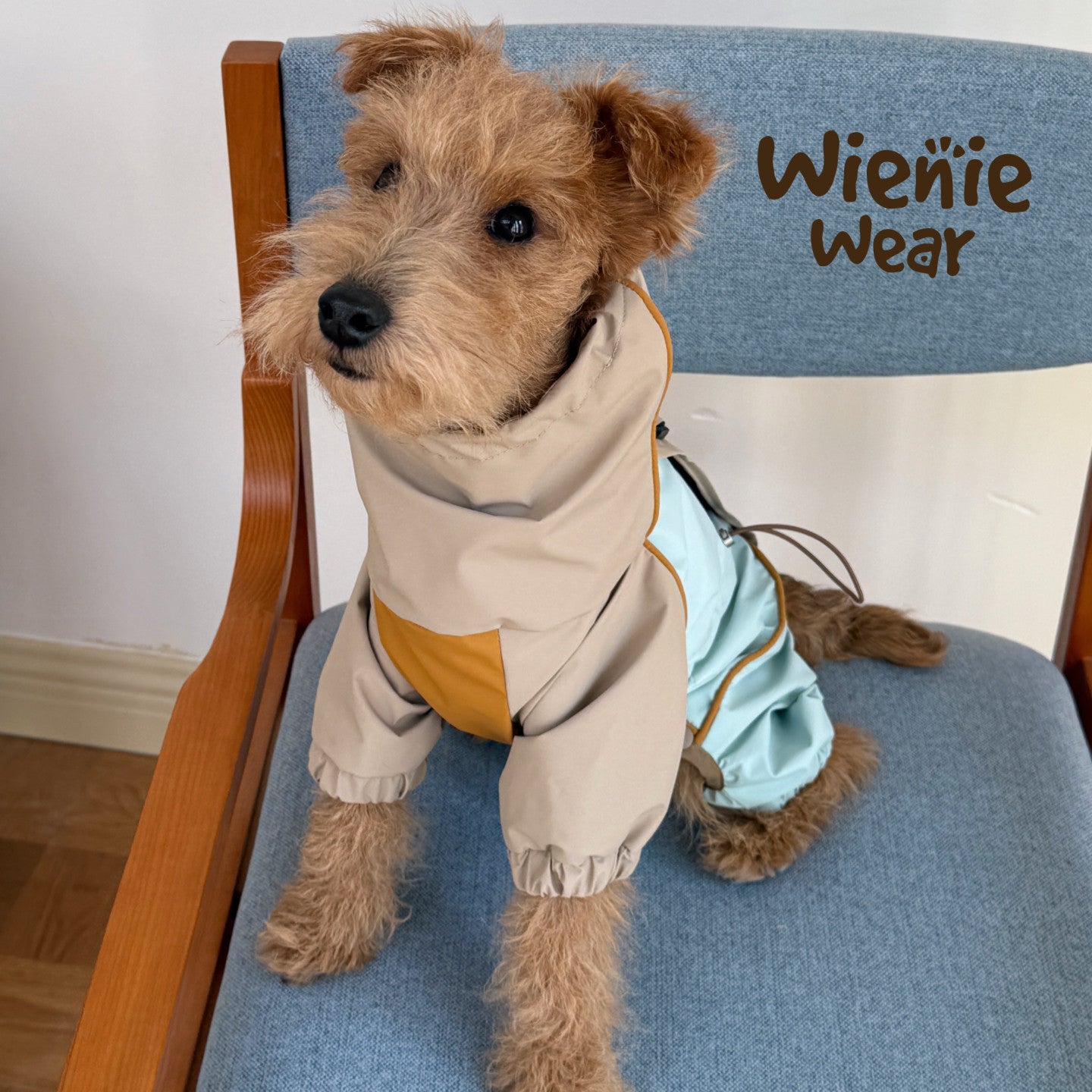 3-in-1 Dog Rain Jacket
