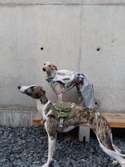 Outdoor Small Dog Harness Backpack