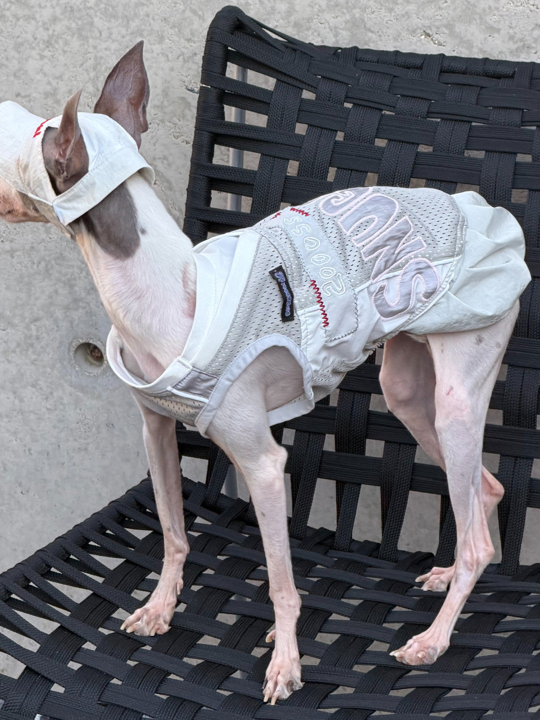 Jersey Dog Dress with Detachable Skirt