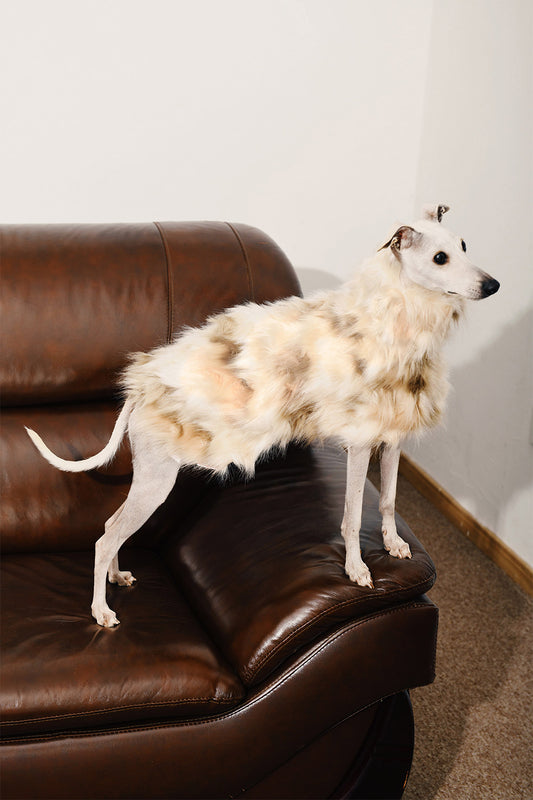Faux Fur Drop Shoulder Dog Cape