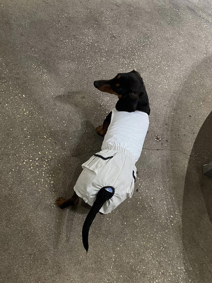 Utility Jumpsuit Dog Romper