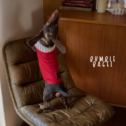 Bumble Bagel Kent Raspberry Striped Collar Dog Shirt