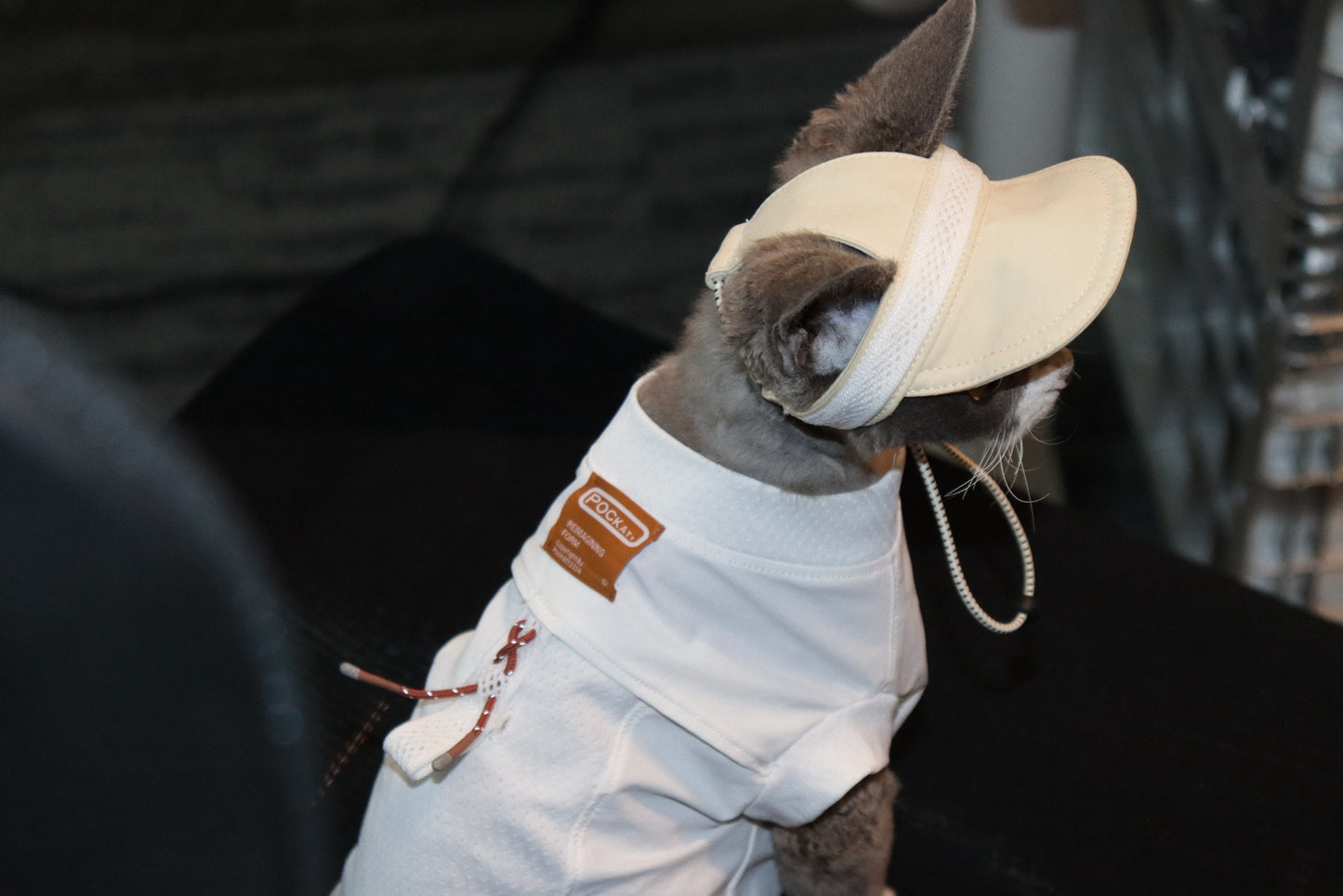 Pockatt Devon Rex Cat Sun Hat