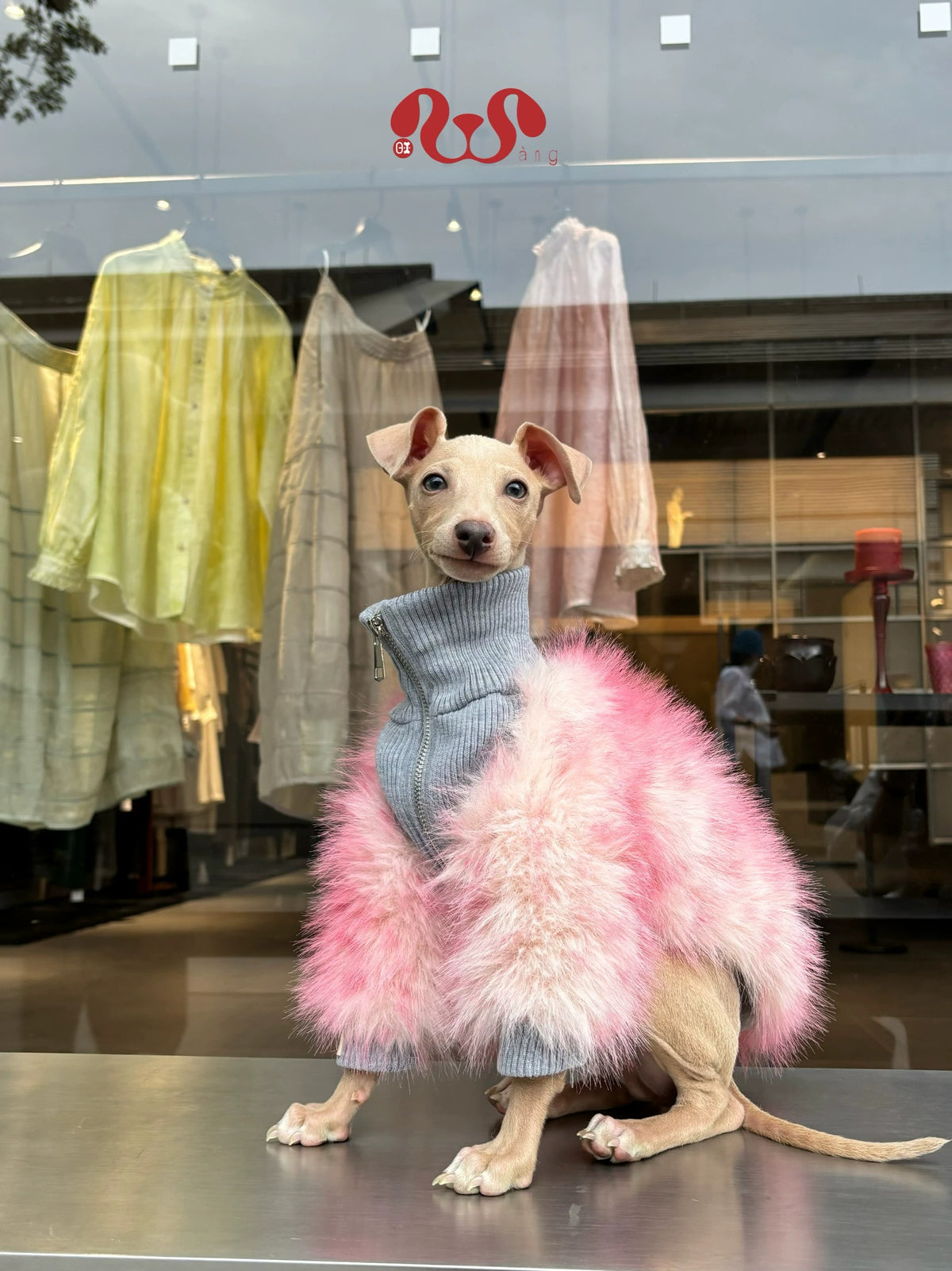 Luxury Faux Fur Two-Legged Dog Winter Coat