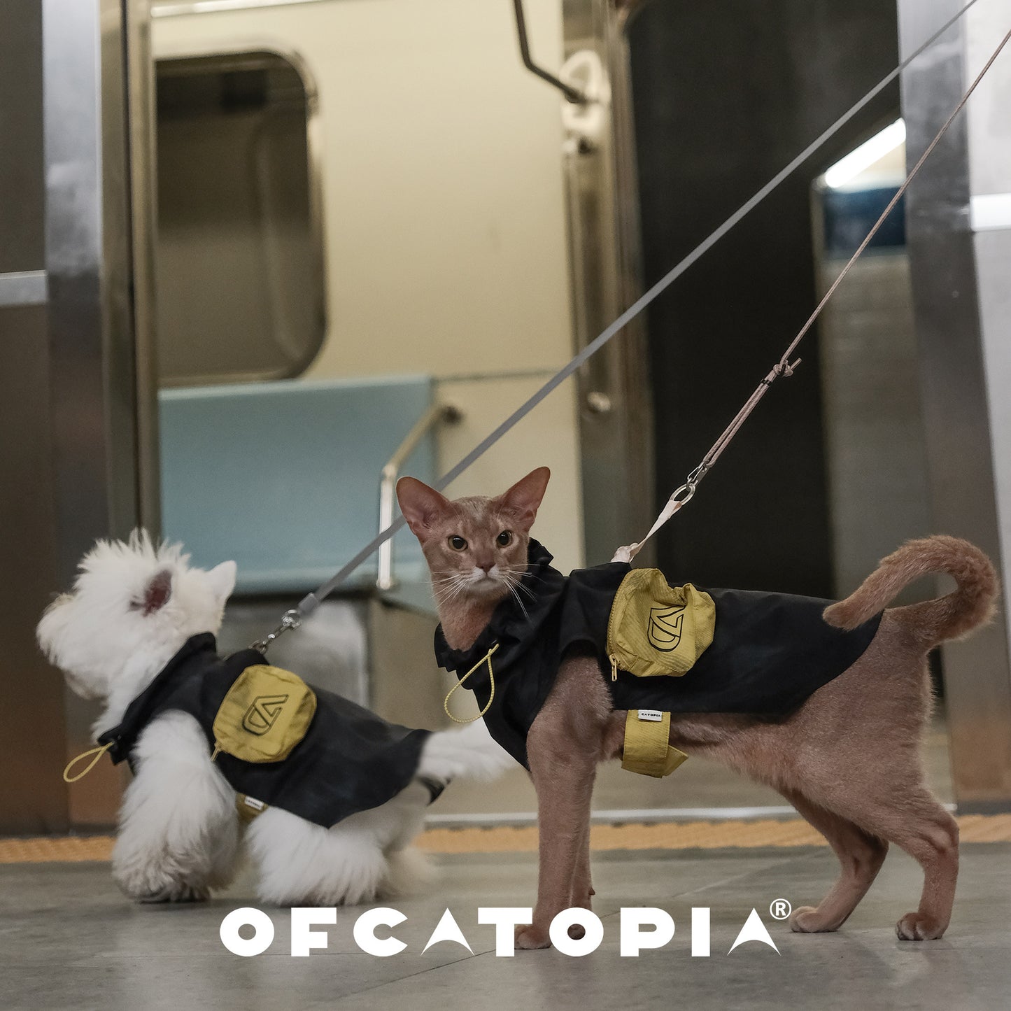 OfCATOPIA Yellow-Black Lightweight Sun Jacket