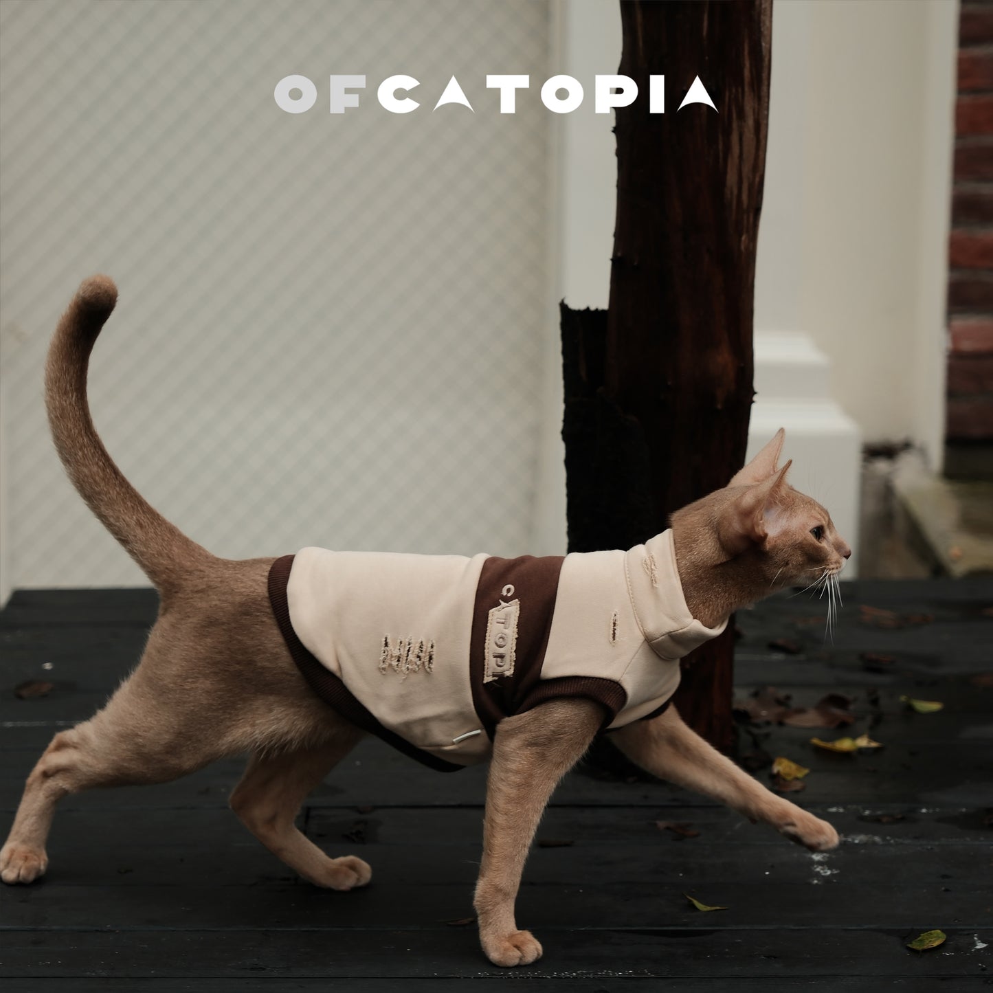 OfCatopia Destroyed Sleeveless Vest for Pets