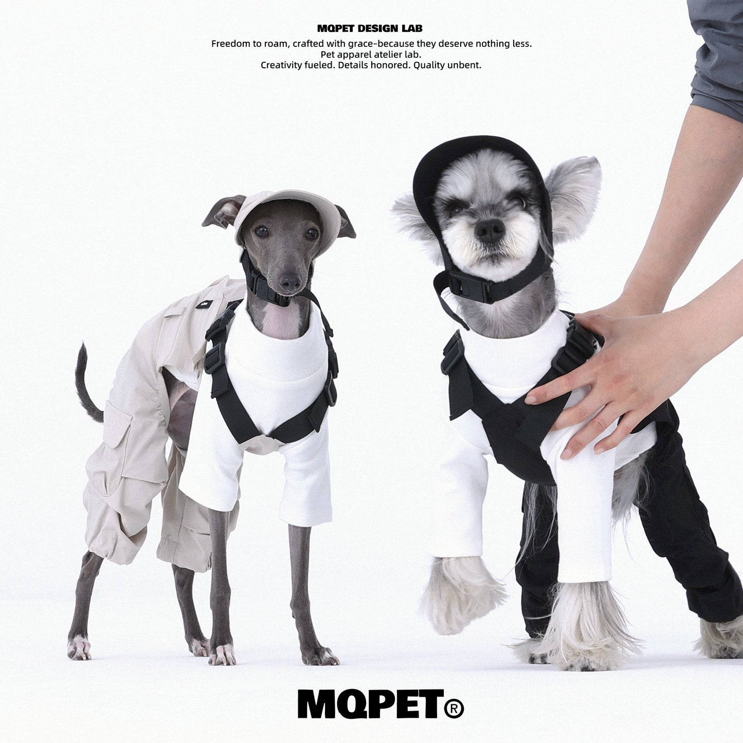 Waterproof Dog Baseball Cap