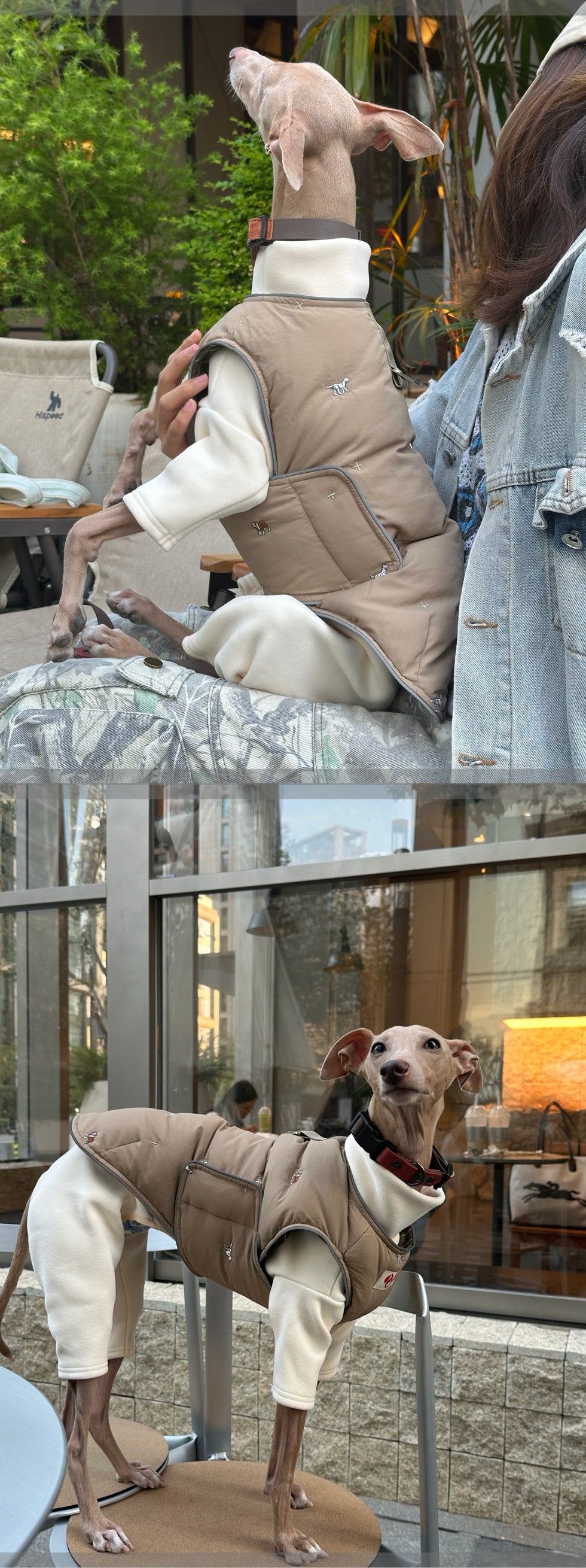 Dog Down Vest & Scarf, Sold Separately