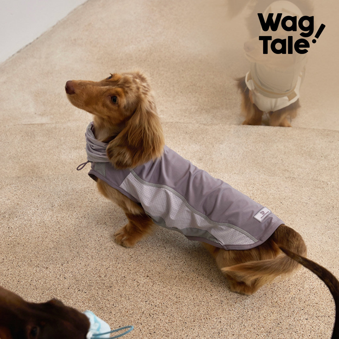WagTale Cooling Dog Shirt