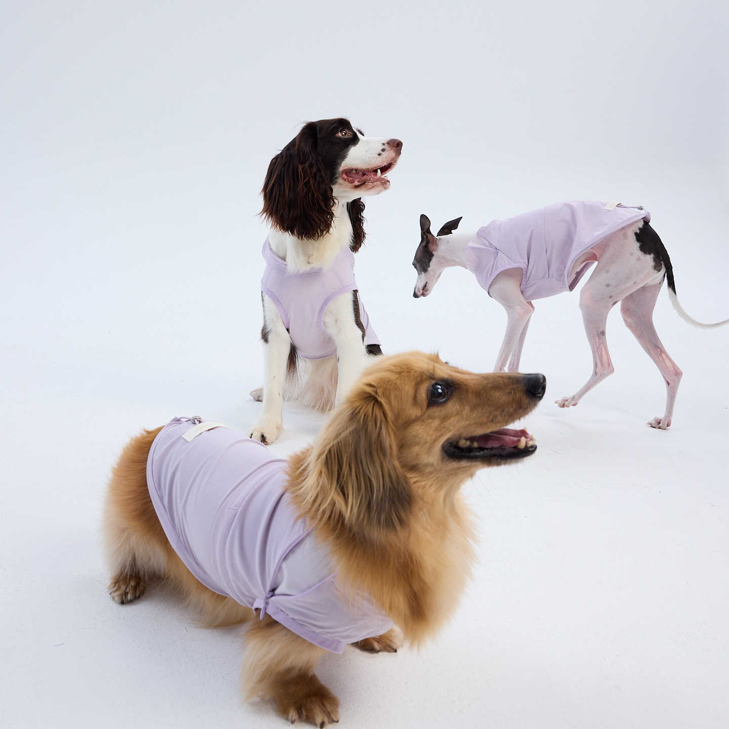 UPF 50+ Cooling Dog Vest Matching Set