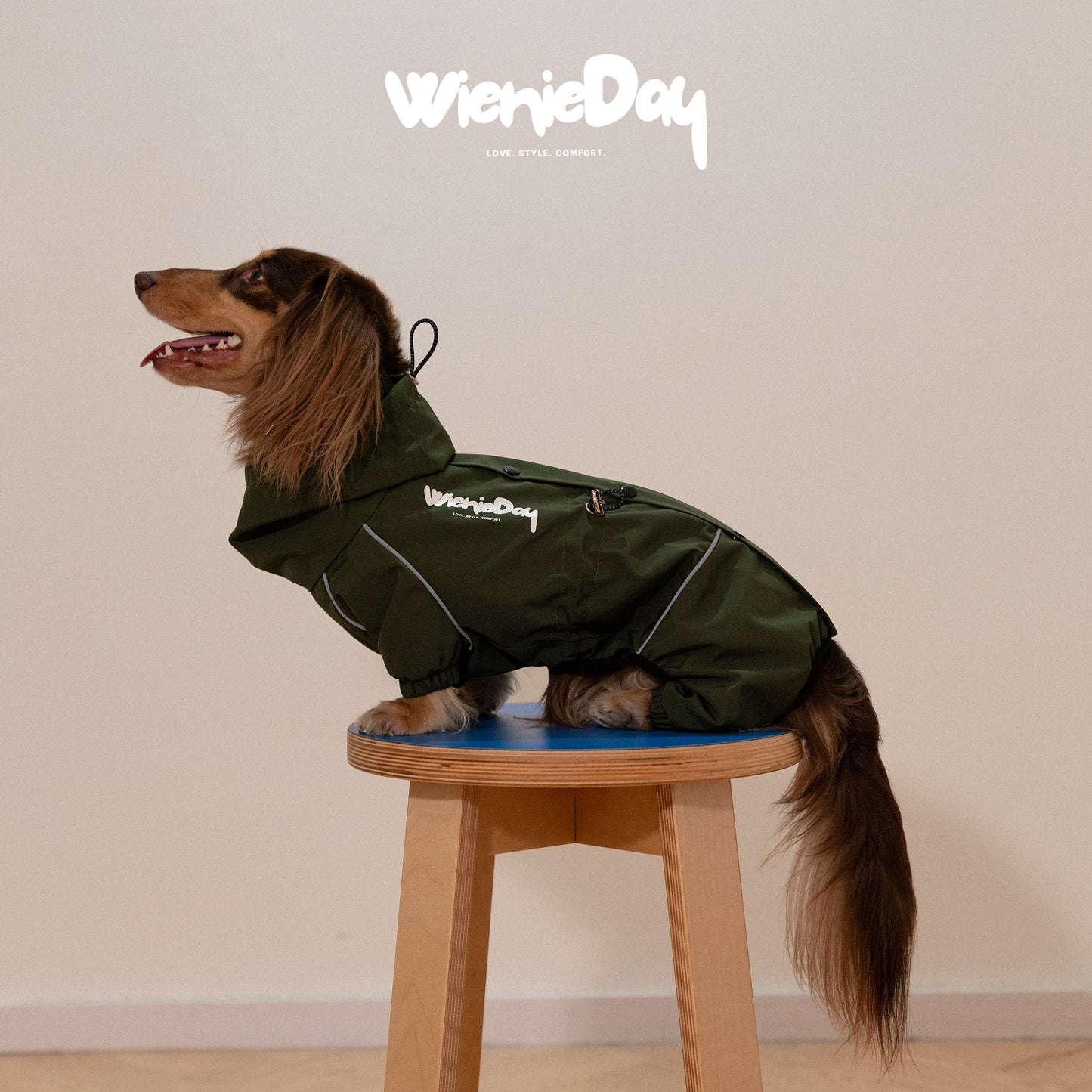 WienieDay Full-Body Dachshund Rain Jacket