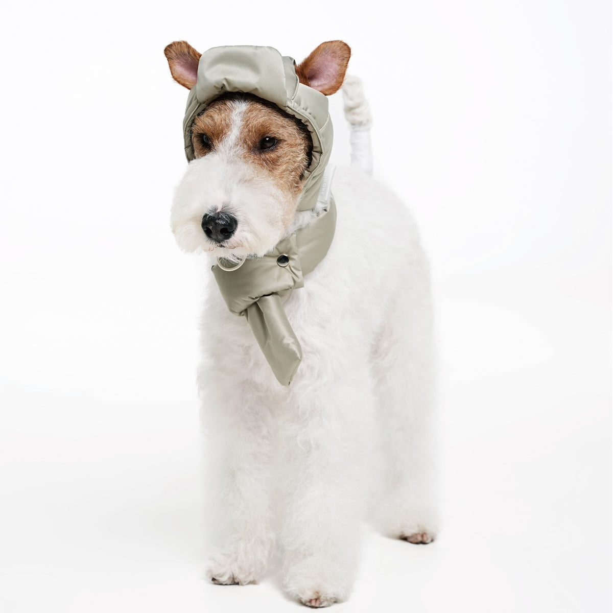 Embroidered Dog Winter Hat & Scarf Set