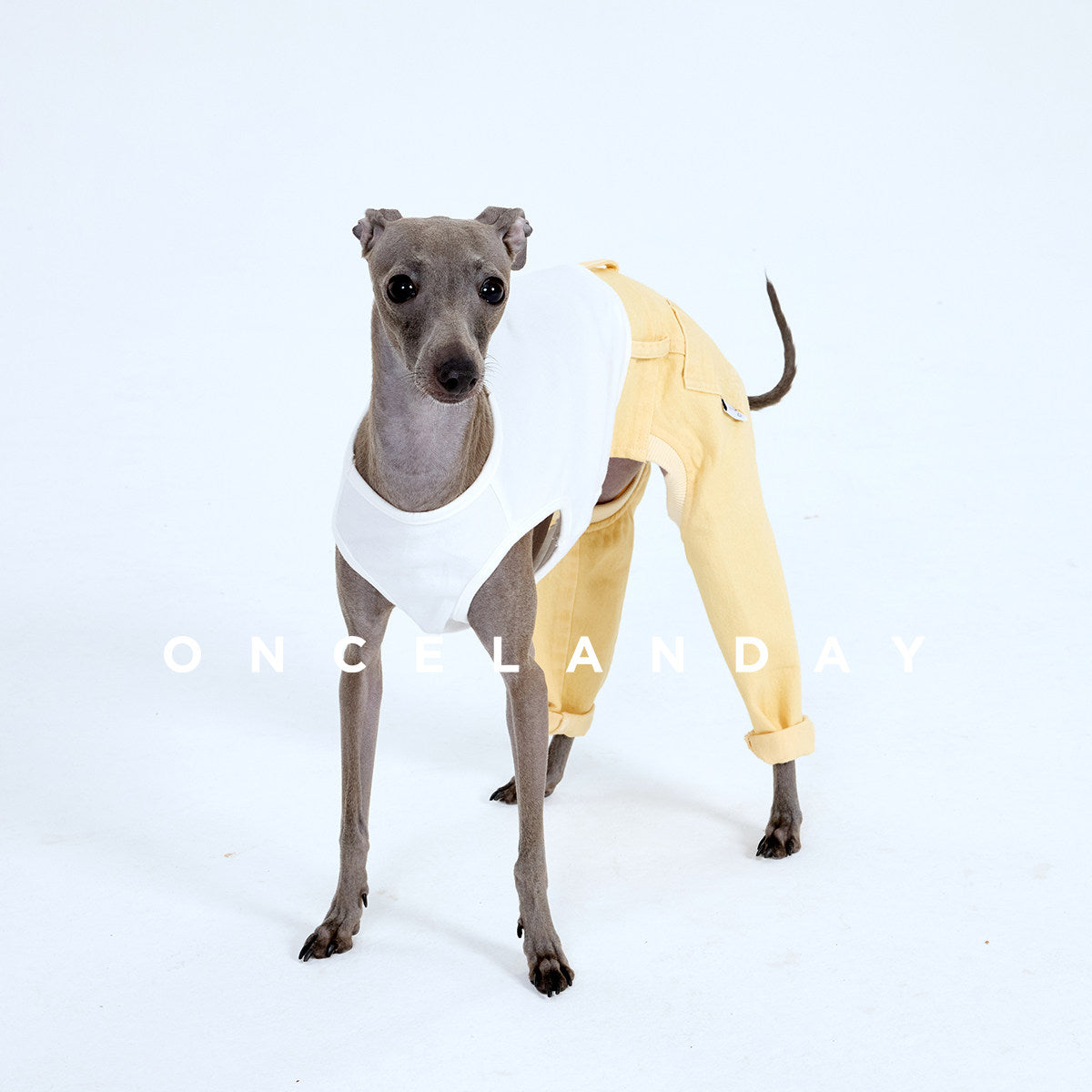 ONCELANDAY Fall Patchwork Washed Jeans for Whippets