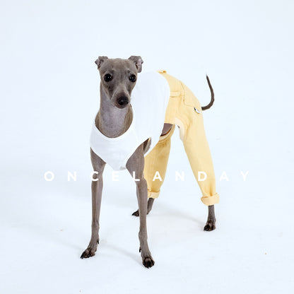 Pantalones Vaqueros Lavados con Retales para Whippets ONCELANDAY de Otoño