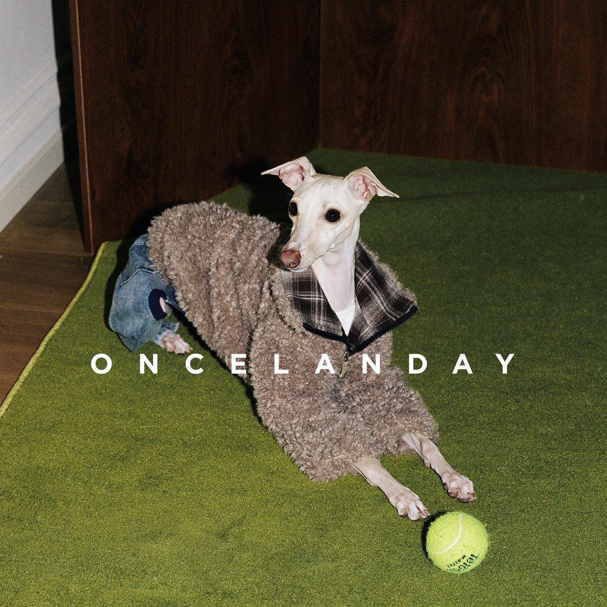Plaid Cow Print Sighthound Winter Dog Coat