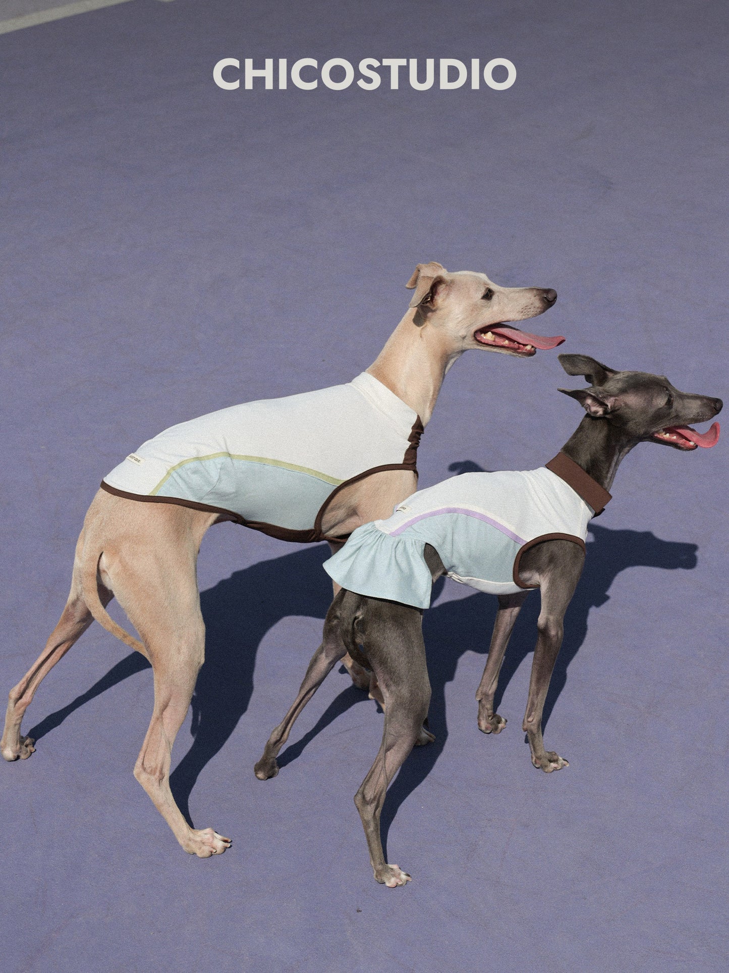 CHICO Dog Sun Protection Tennis Dress