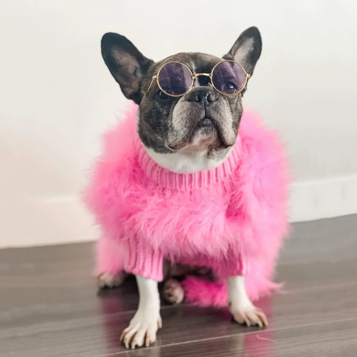 Luxury Feather Knit Sweater for Italian Greyhound & Whippet