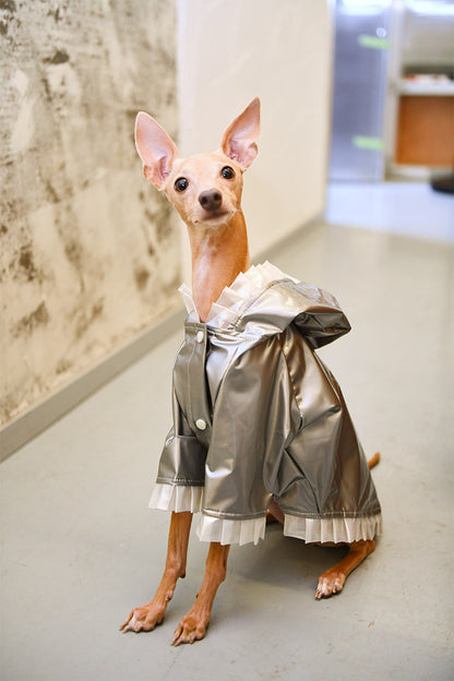 Color Block Dog Windbreaker