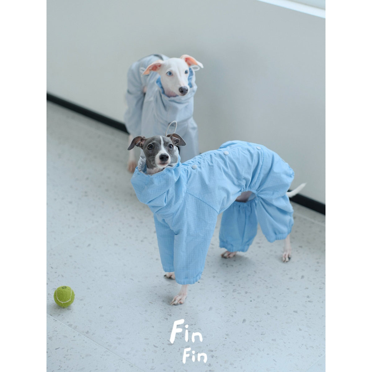 Reversible Dog Water Repellent Four-Legged Jacket