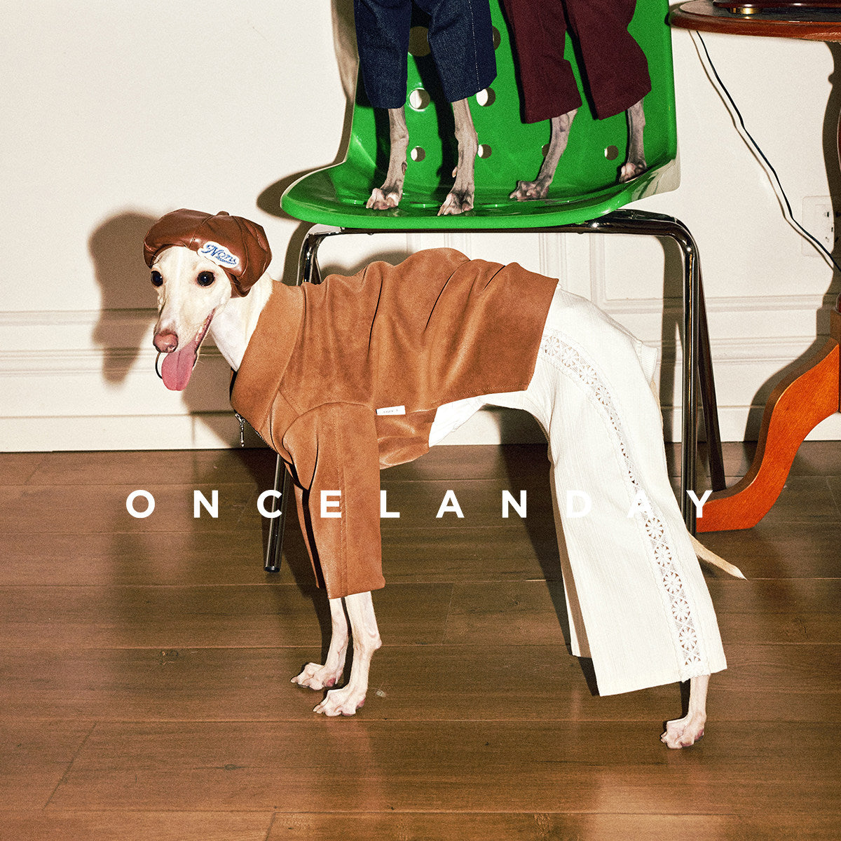 ONCELANDAY Fall Lace Patchwork Jumpsuit for Whippets