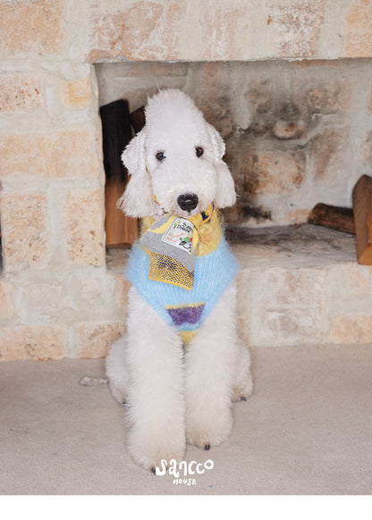 Colorful Striped Wool Knit Dog Vest