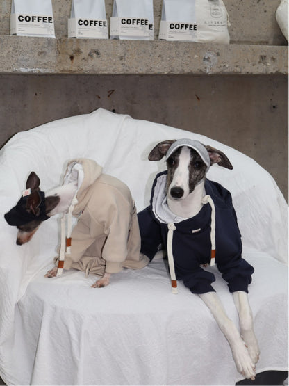 Detachable Dog Hoodie and Pants Set