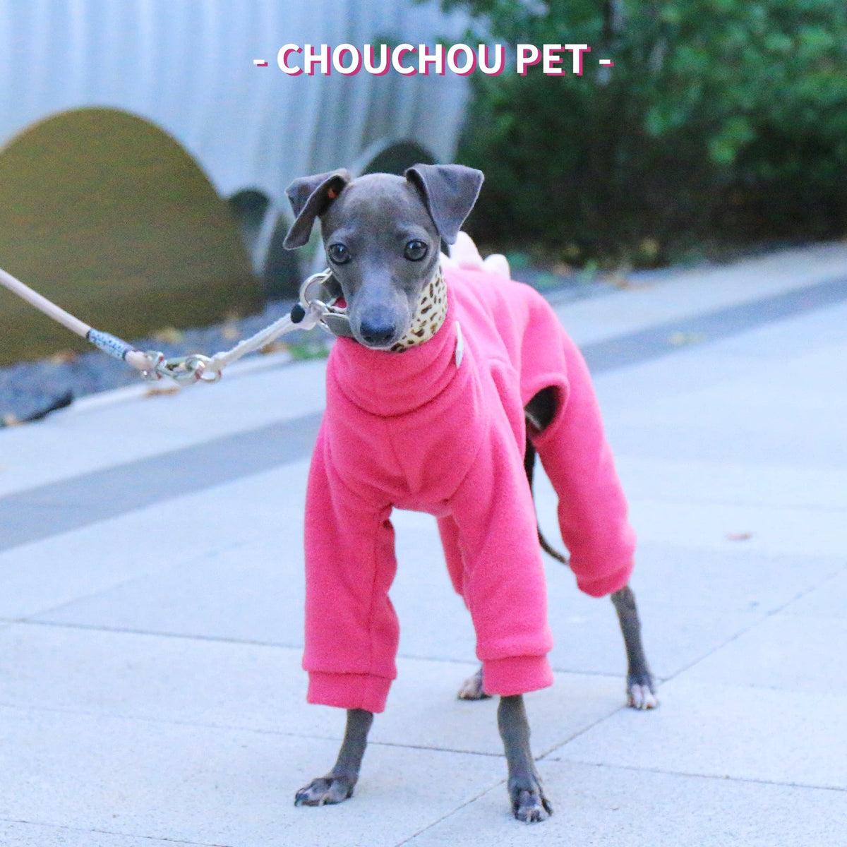 Dinosaur Fleece 4-Leg Dog Jumpsuit