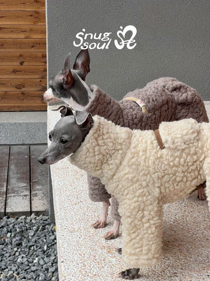 Wool-Blend Four-Leg Dog Onesie for Italian Greyhounds