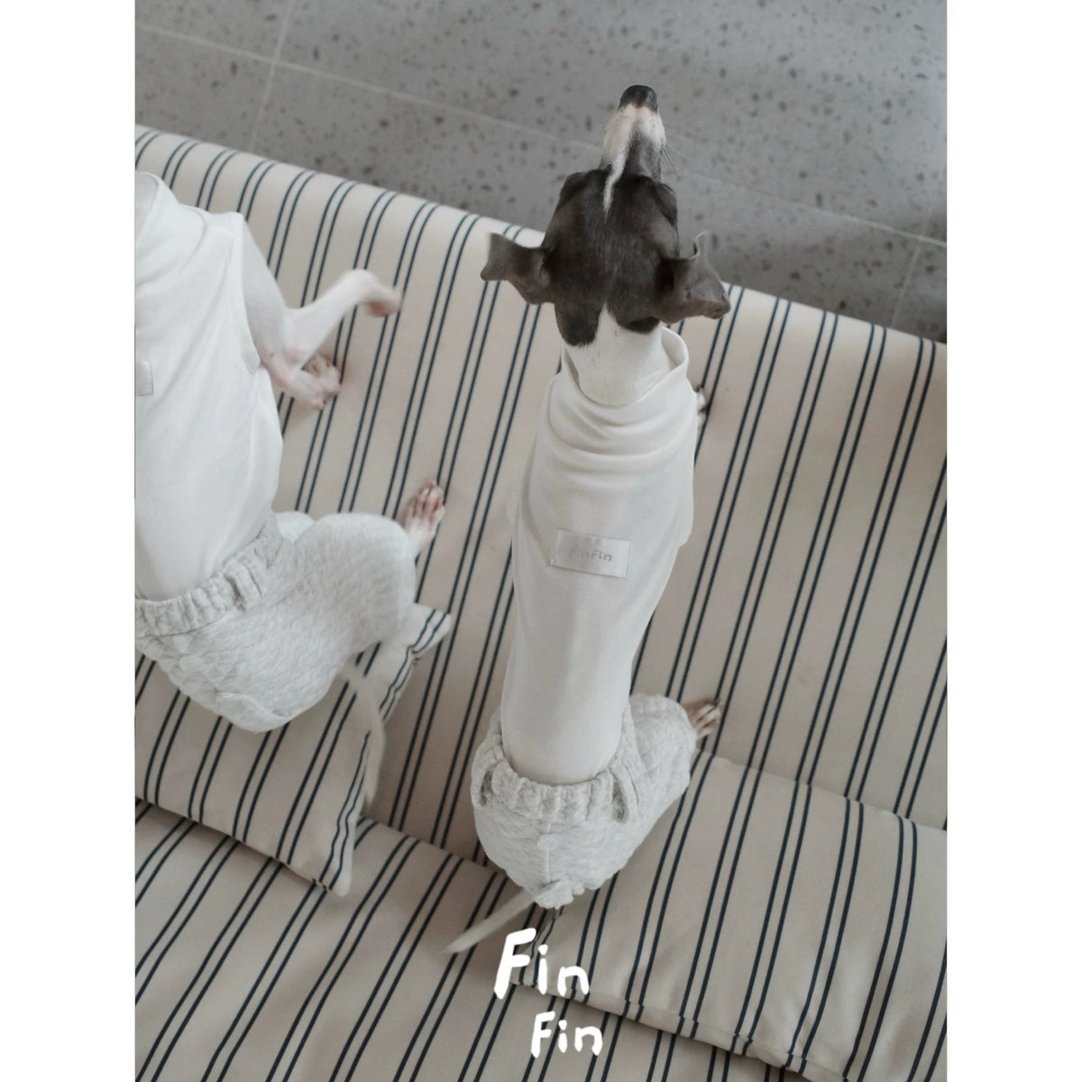 Dog Tank Top Jogger Jumpsuit