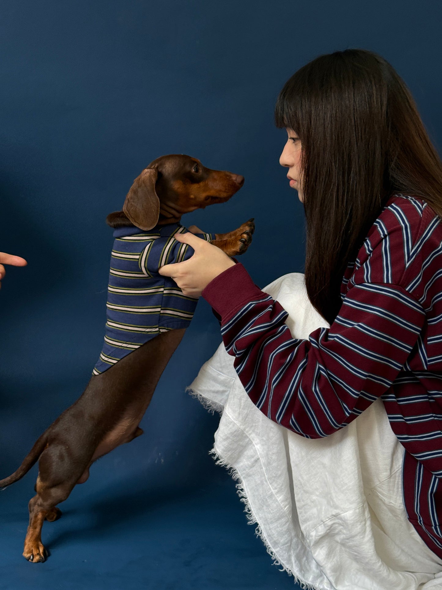 POXFFEE Vintage Stripe Matching Dog Outfit