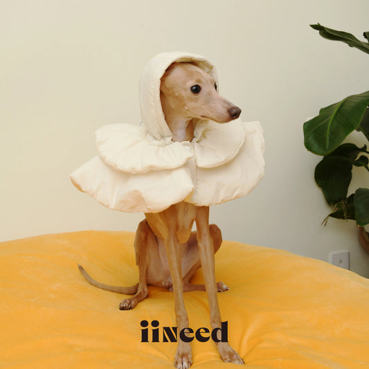 White Padded Pet Hat for Dogs Cats