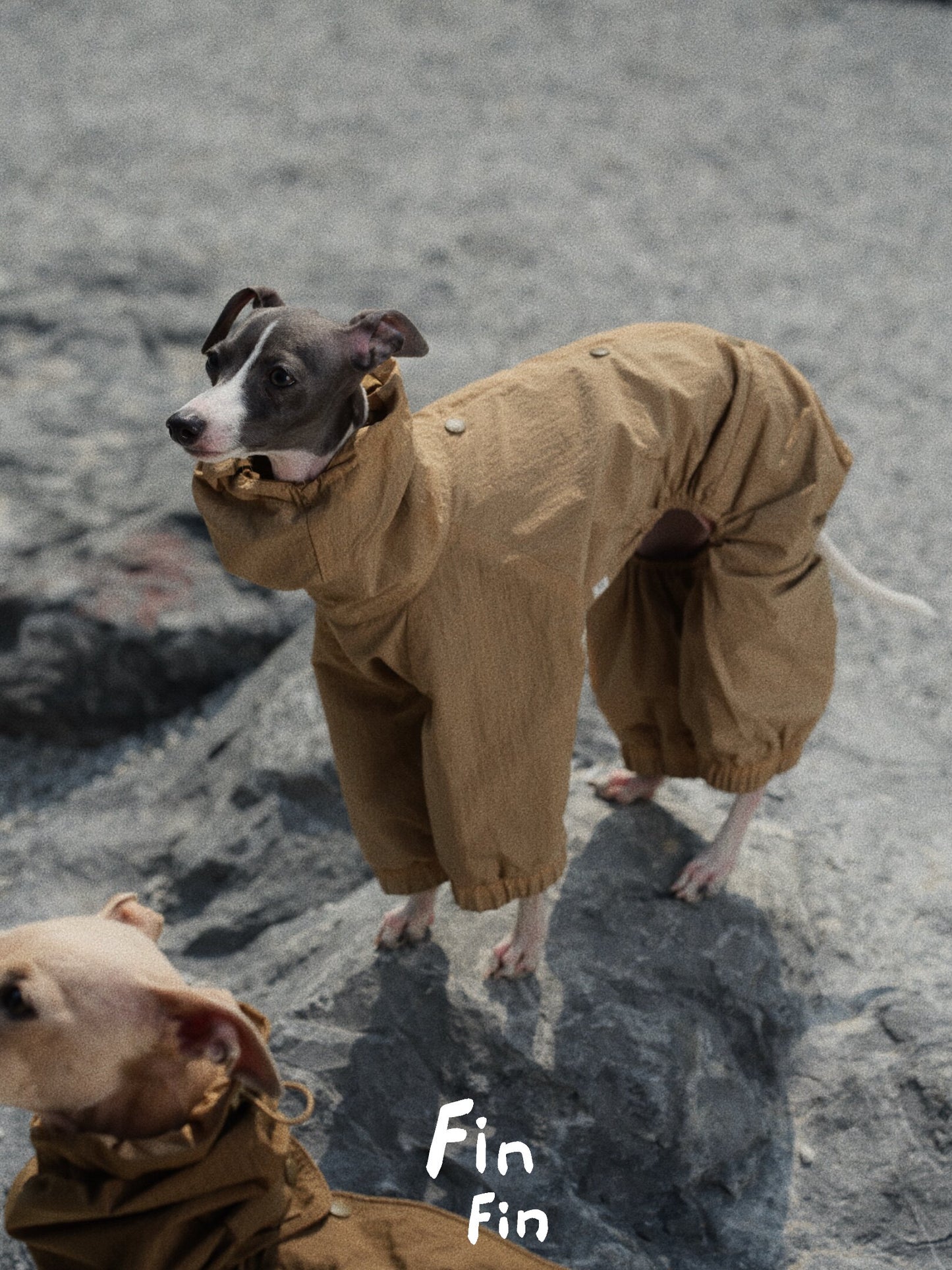 Reversible Four-Leg Water-Repellent Dog Raincoat