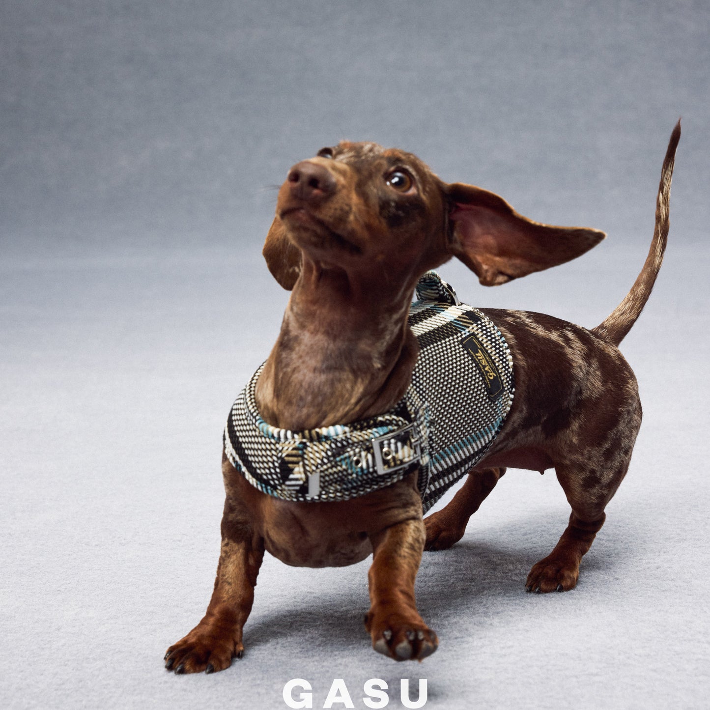 GASU Variété Italian Fabric Adjustable Dog Harness