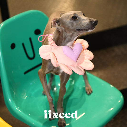 Padded Heart Pet Bib