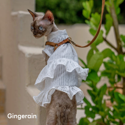 GINGERAIN French Ruffle Shirt Dress for Cats