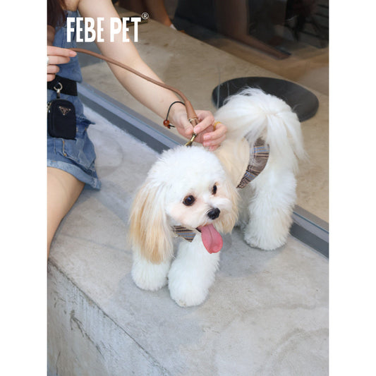 FEBE PET British Academy Skirt for Small Dogs